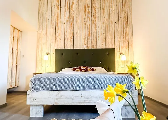 Casa Olea בית הארחה פאקוסטאן